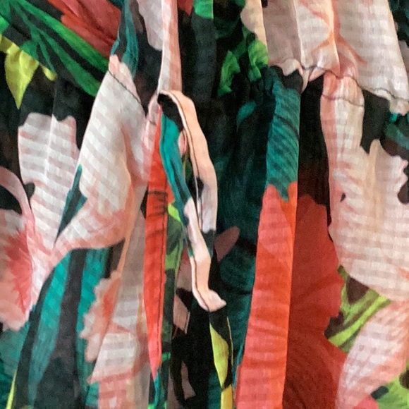 Soft Surroundings Sheer Tunic and camisole - Picture 2 of 8